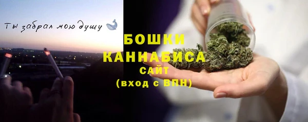 ECSTASY Бикин