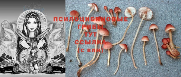 марки lsd Беслан