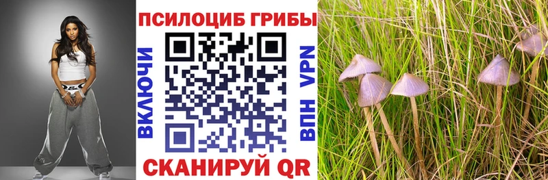 Галлюциногенные грибы Psilocybe  наркота  Тейково 
